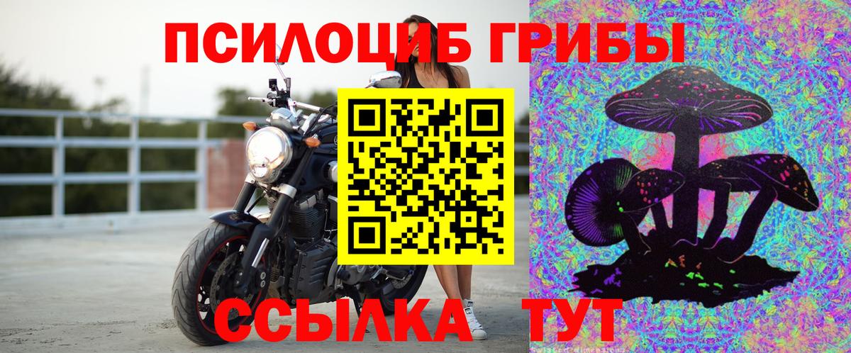 Спасск-Дальний  где найти   Галлюциногенные грибы Psilocybe  Вход с VPN  Псилоцибиновые грибы Psilocybine cubensis 
